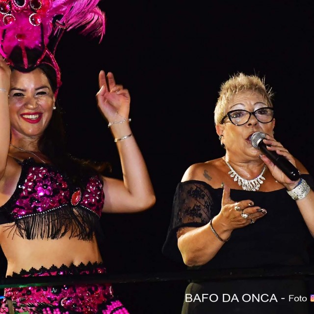 desfile 032